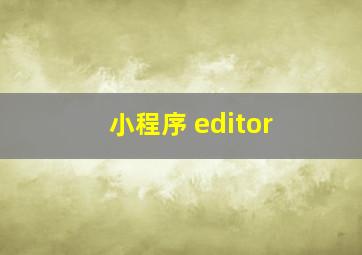 小程序 editor